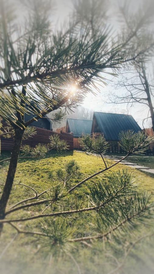 Loca Sapanca Bungalov Exterior foto
